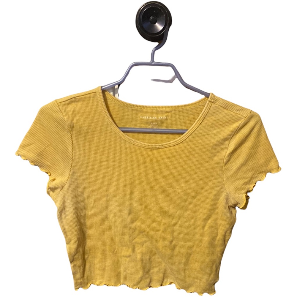 American Eagle Crop Top